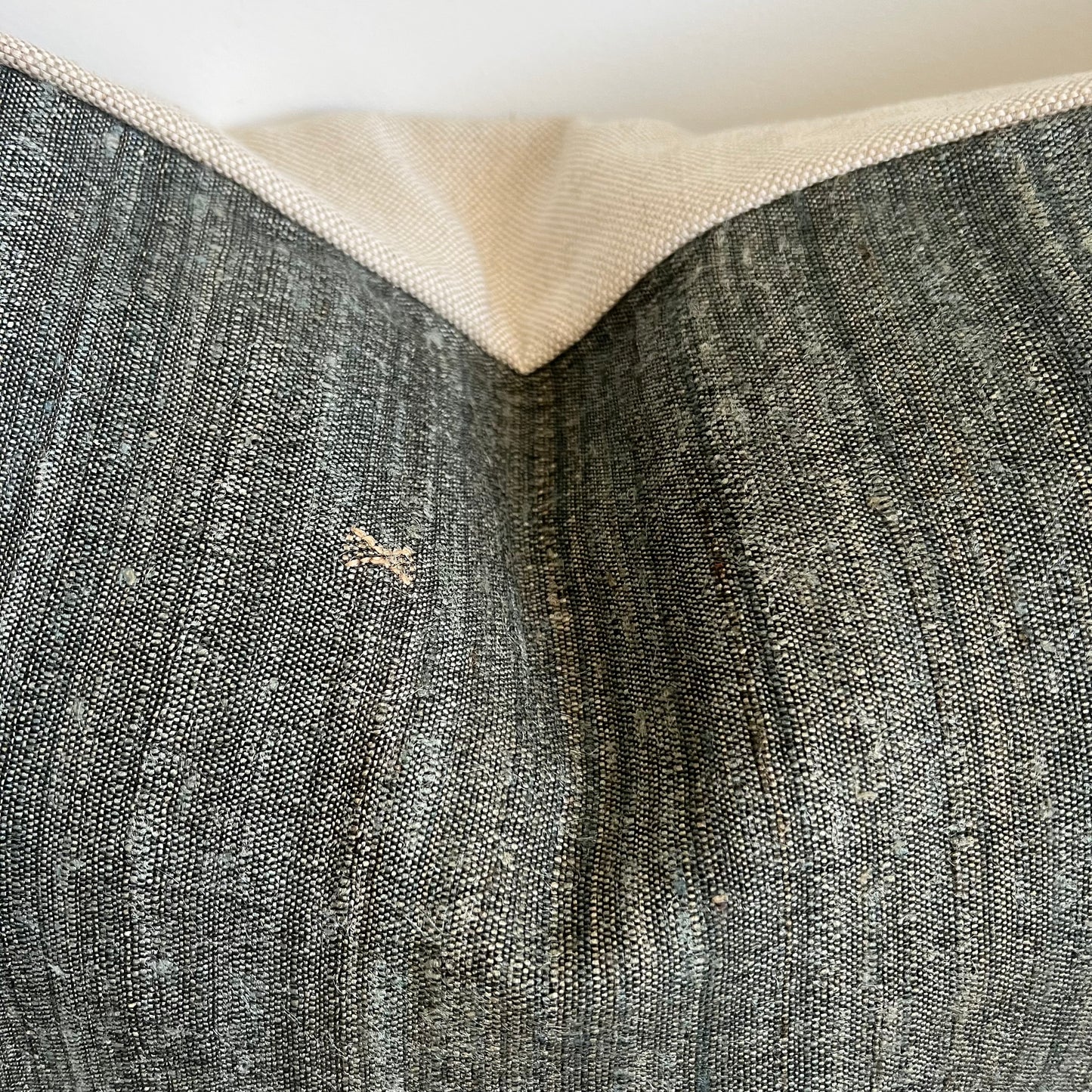 Elizabeth 2 Pillow Cover